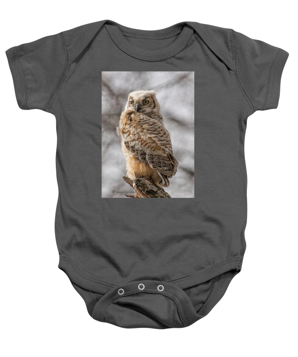  Baby Onesie featuring the photograph Adolescent Owl 09.... by Paul Vitko