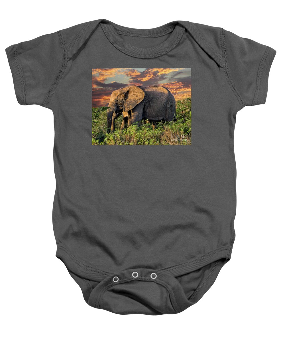 African Elephant Baby Onesie featuring the photograph African Elephants at Sunset by Lynn Bolt