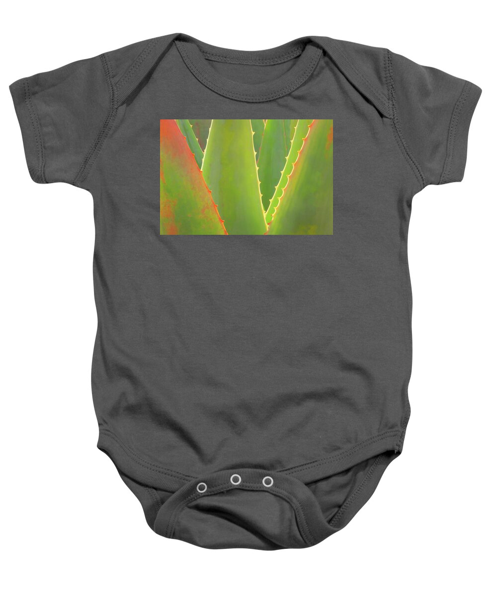 Agave Baby Onesie featuring the photograph Agave Abstract by Ram Vasudev