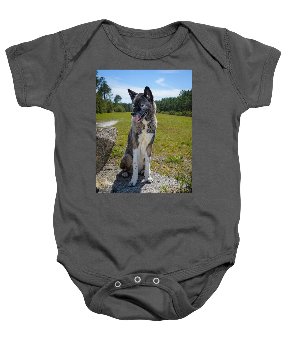 Dog Baby Onesie featuring the photograph Akita Dog Sitting by Tammy Ray