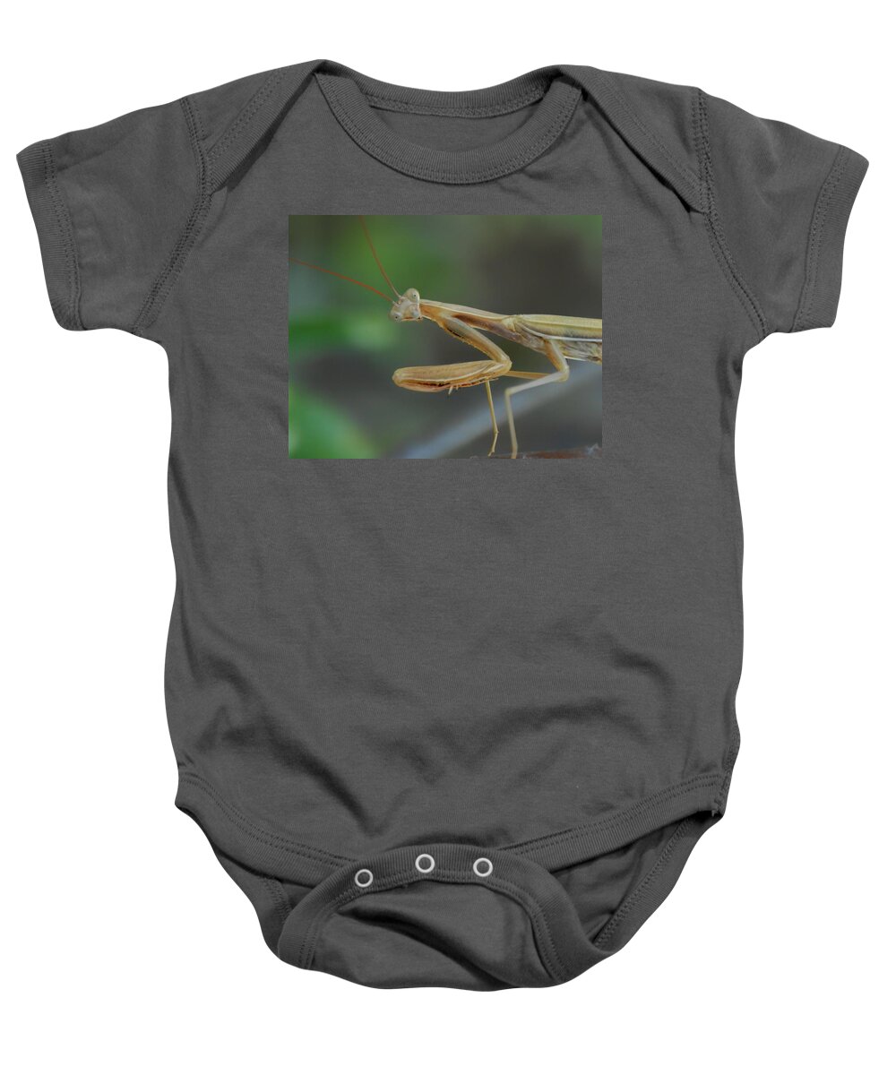 Praying Mantis Baby Onesie featuring the photograph Aliens Among Us by Donna Blackhall