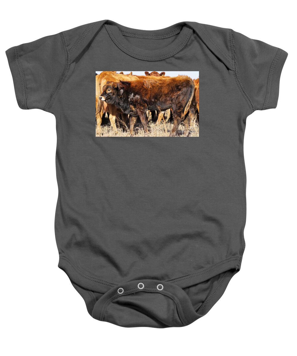 Calf Baby Onesie featuring the photograph Almost as Tall by Merle Grenz