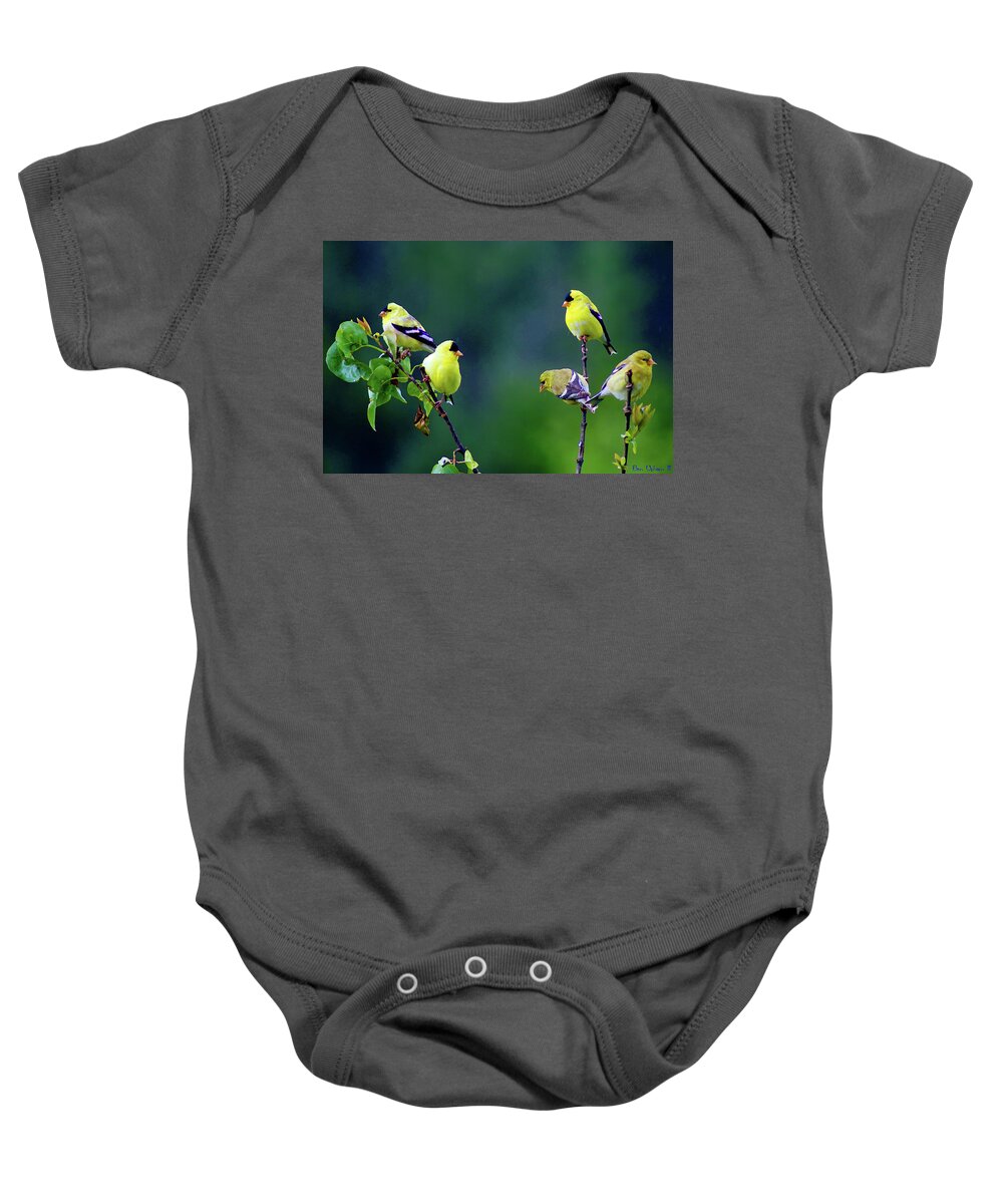 Birds Baby Onesie featuring the photograph American Goldfinch #8 Enhanced Image by Ben Upham III