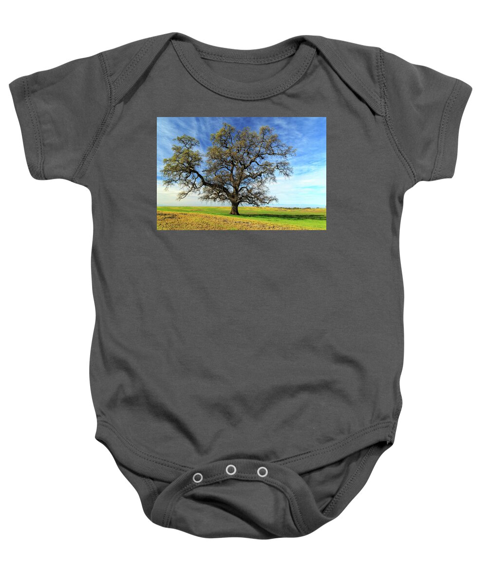 Oak Baby Onesie featuring the photograph An Oak In Spring by James Eddy