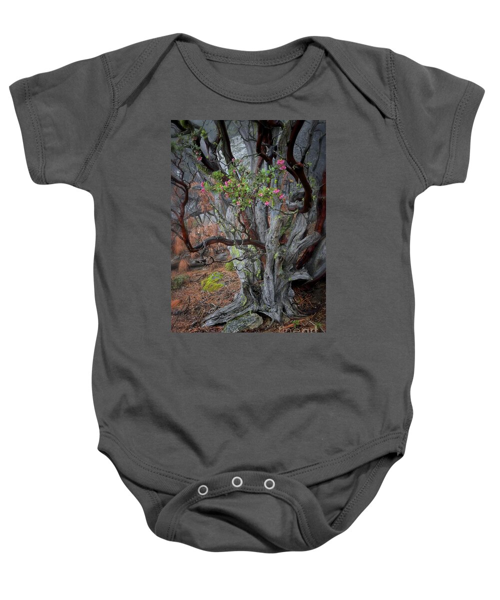 Landscape Baby Onesie featuring the photograph Ancient Manzanita with Moss and Blooms by Gus McCrea