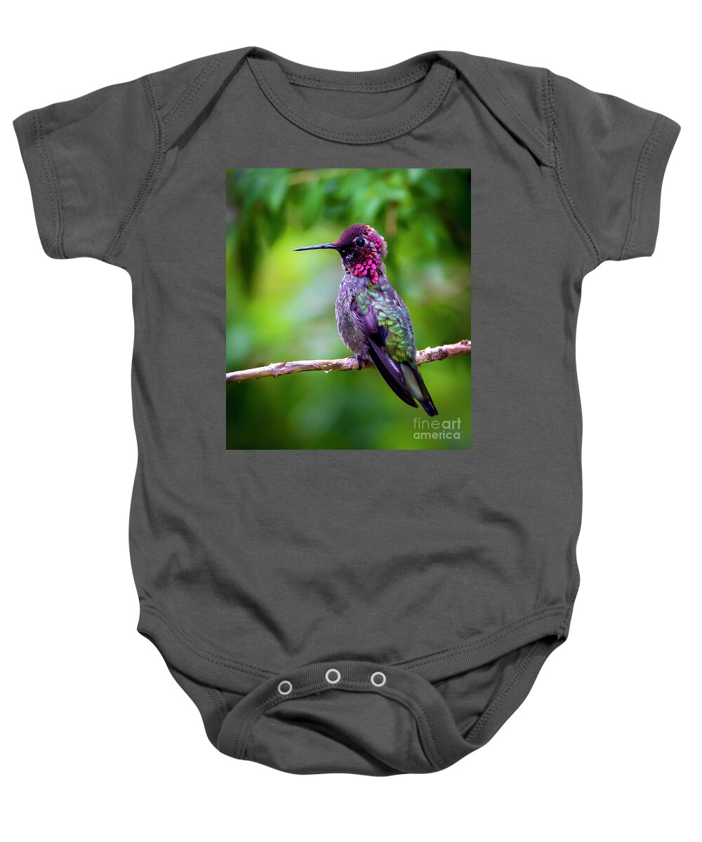 Birds Baby Onesie featuring the photograph Anna Humming Bird by Sal Ahmed