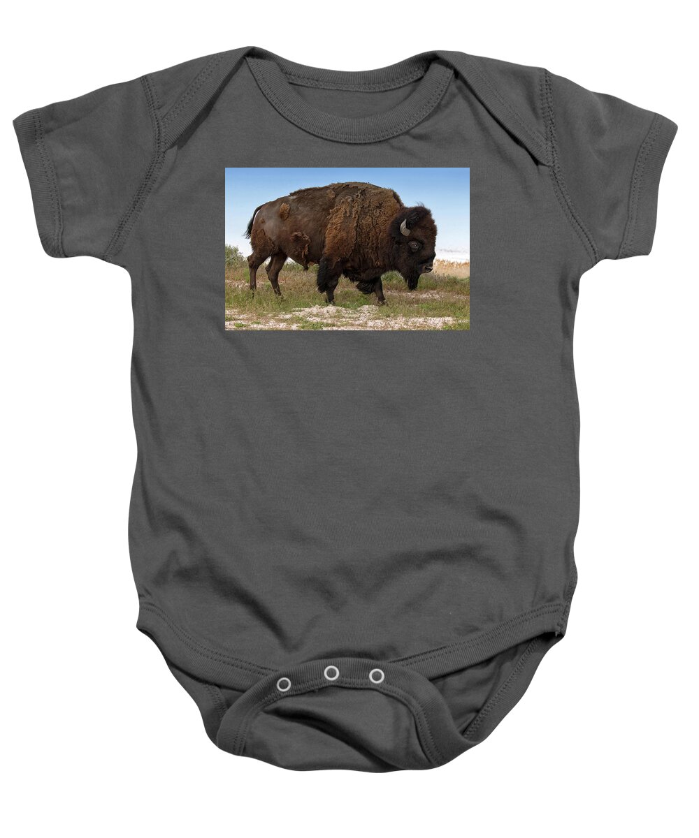 Bison Baby Onesie featuring the photograph Antelope Island Bison by Art Cole