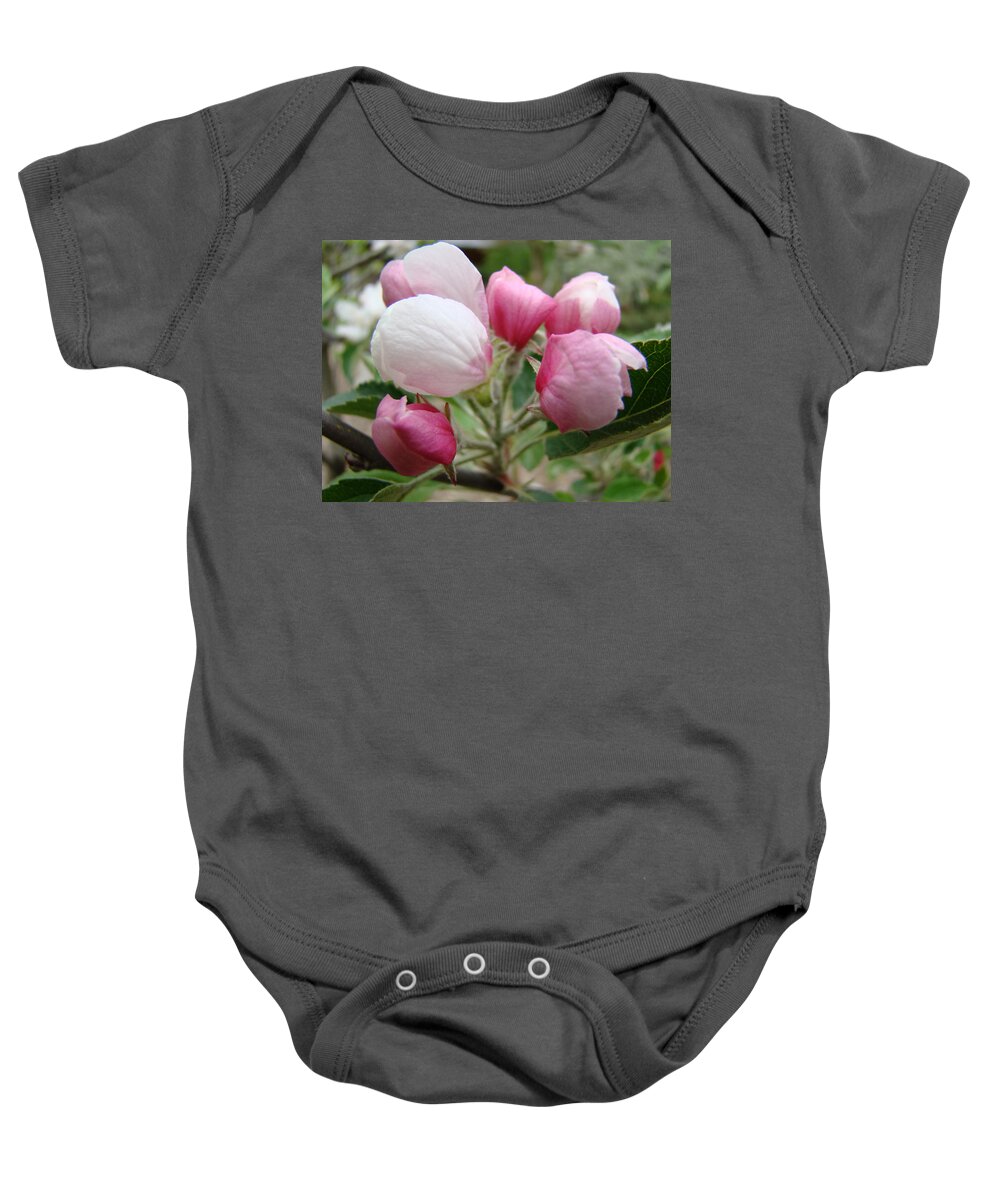 Apple Baby Onesie featuring the photograph APPLE BLOSSOM BUDS Art Prints Spring Blossoms Baslee Troutman by Patti Baslee