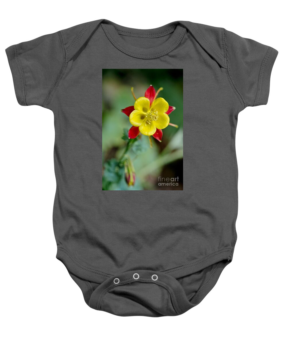 Flowers Baby Onesie featuring the photograph Aquilegia by Elena Perelman