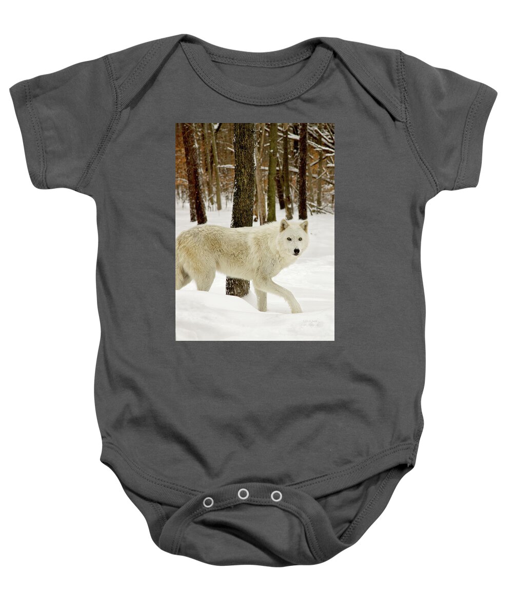 Great Baby Onesie featuring the photograph Arctic Wolf on the move by Steve and Sharon Smith