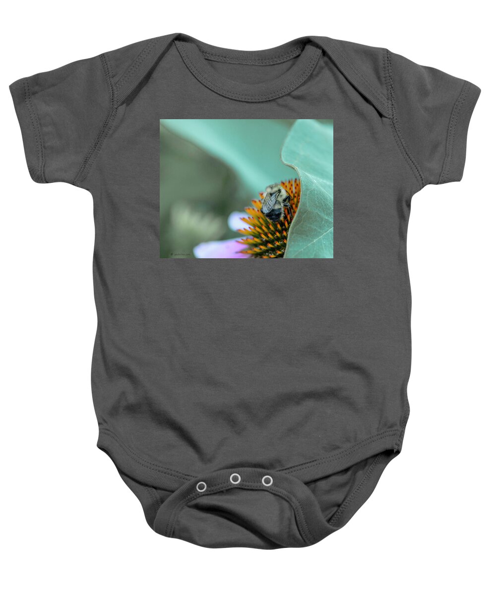  Baby Onesie featuring the photograph Art Of The Flower And Bee.... by Paul Vitko