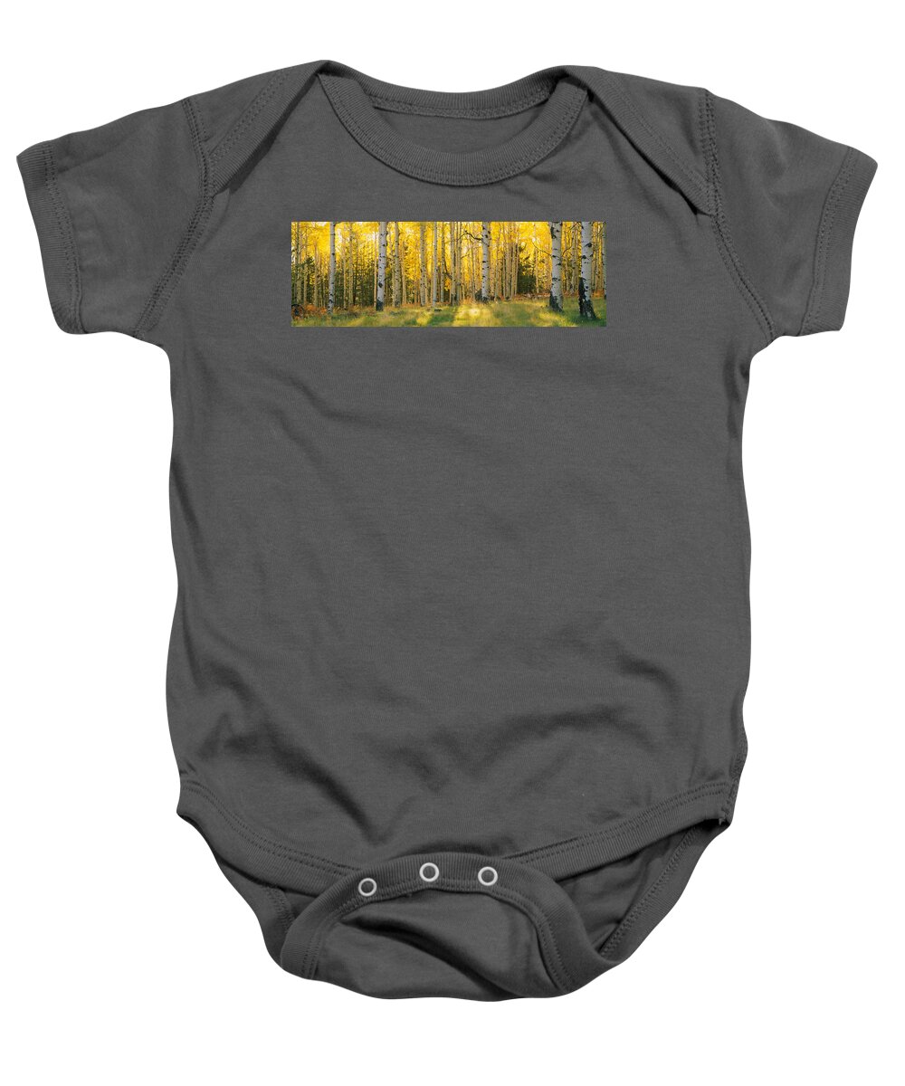 Photography Baby Onesie featuring the photograph Aspen Trees In A Forest, Coconino by Panoramic Images