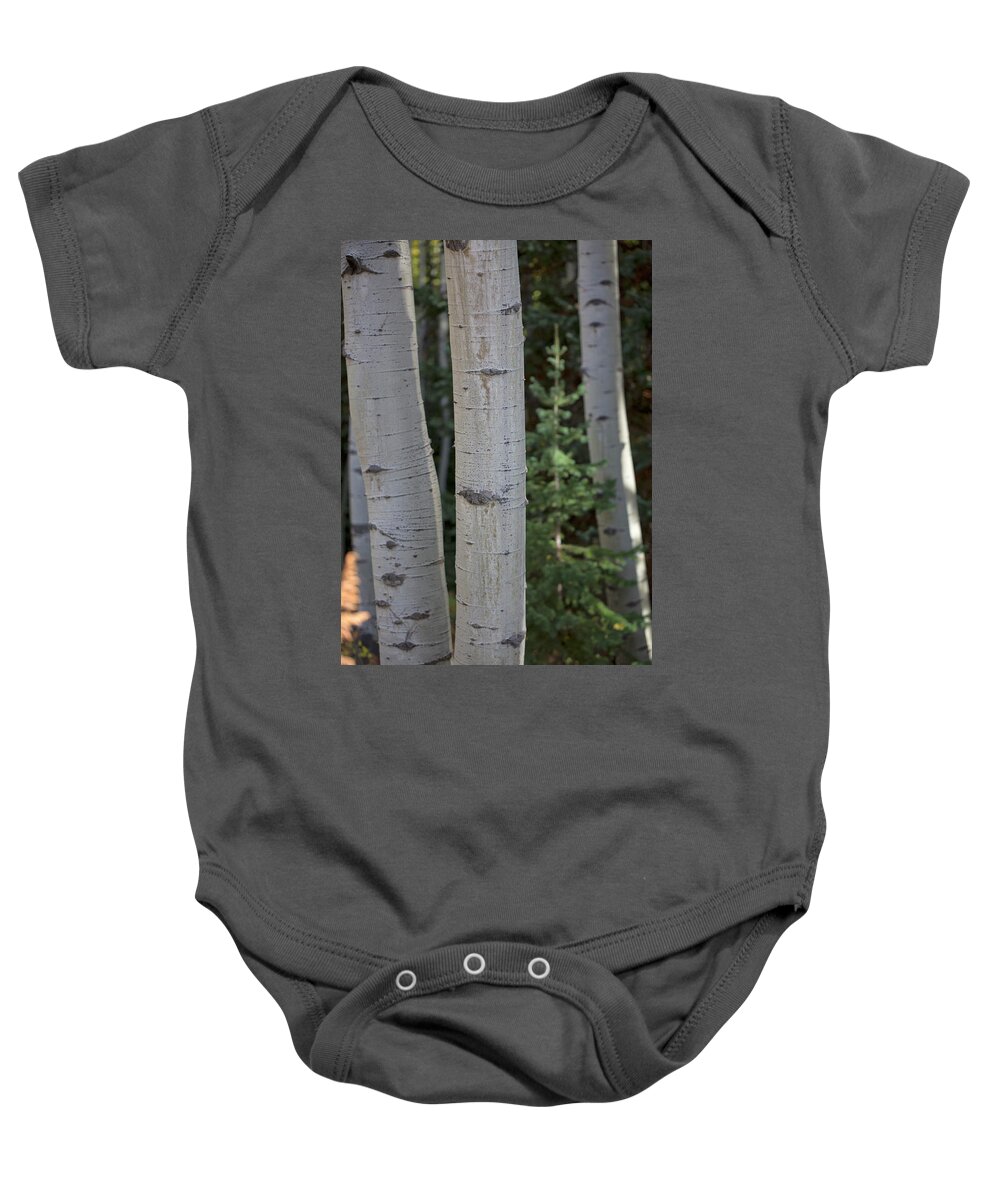 Aspen Baby Onesie featuring the photograph Aspen with Pine by Nancy Dunivin