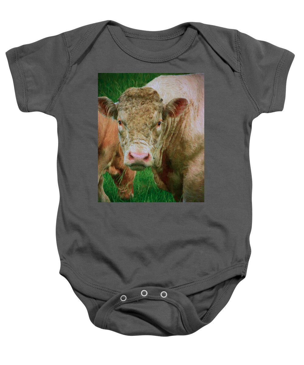 Art Prints Baby Onesie featuring the photograph Attention by Dave Bosse
