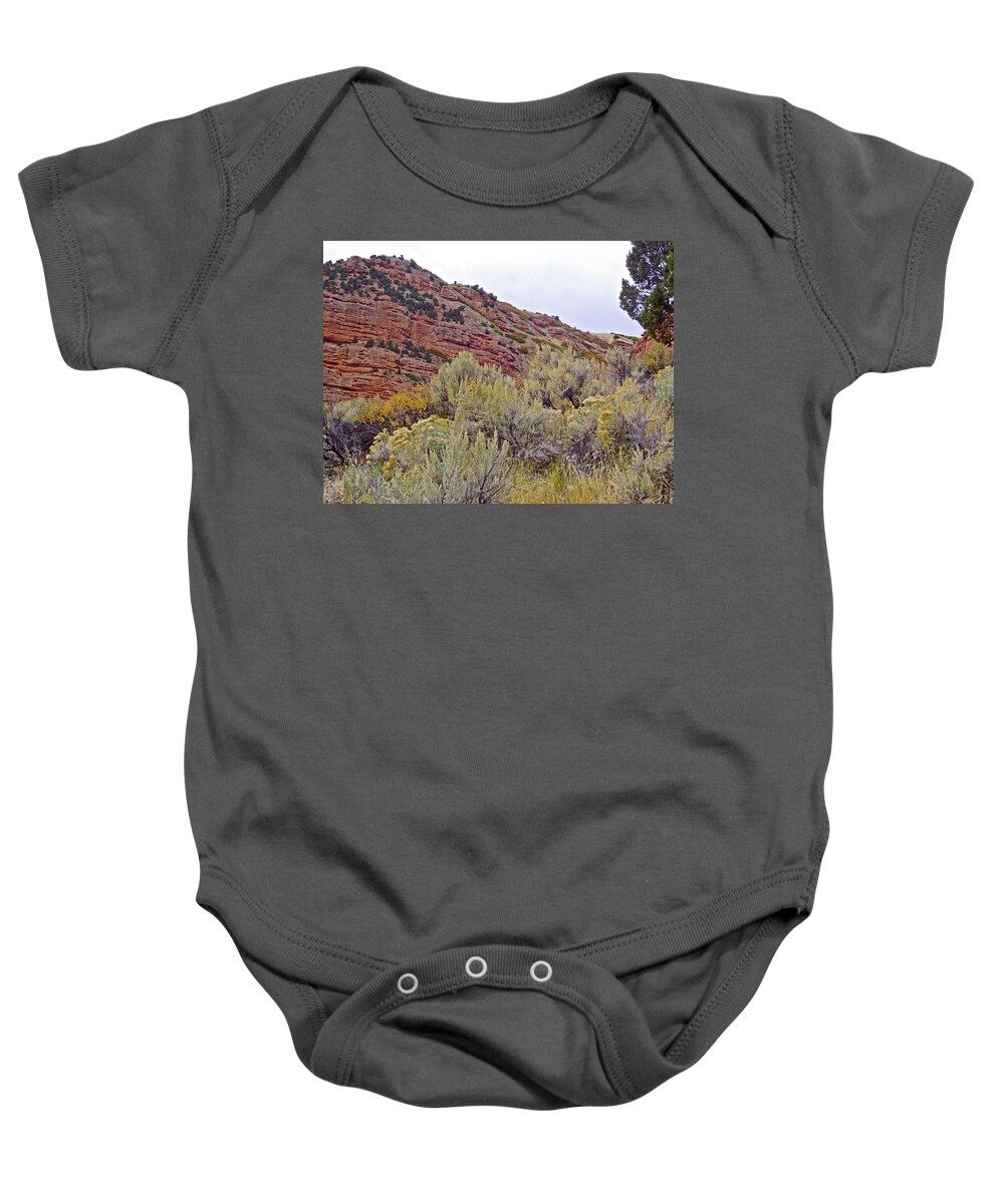 Autumn Brush In Echo Echo Canyon Near I 80 Baby Onesie featuring the photograph Autumn Brush in Echo Canyon near I 80, Utah by Ruth Hager