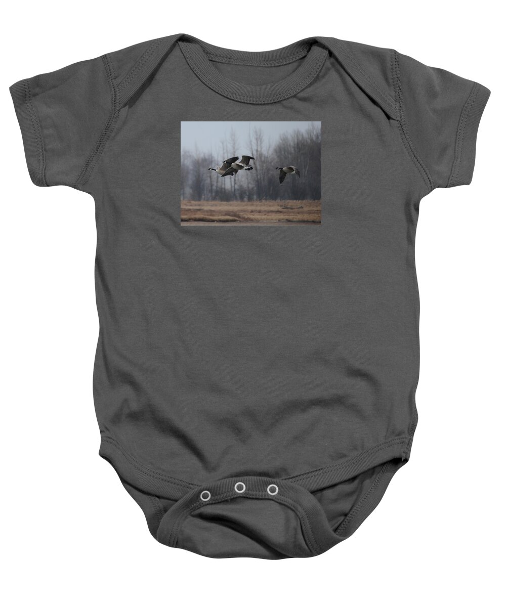 Geese Baby Onesie featuring the photograph Autumn Flight by Whispering Peaks Photography