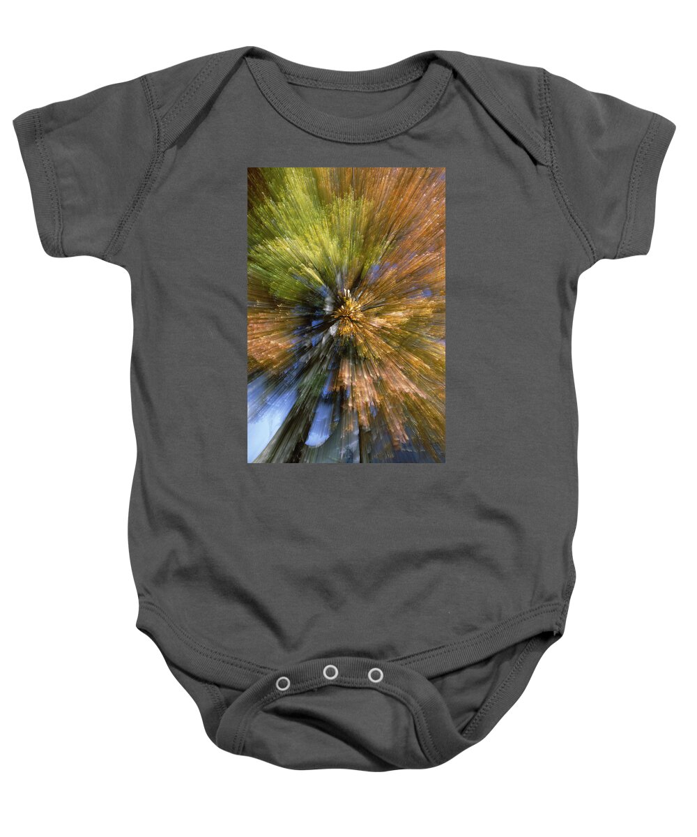 Mp Baby Onesie featuring the photograph Autumn Foliage, Abstract by Konrad Wothe