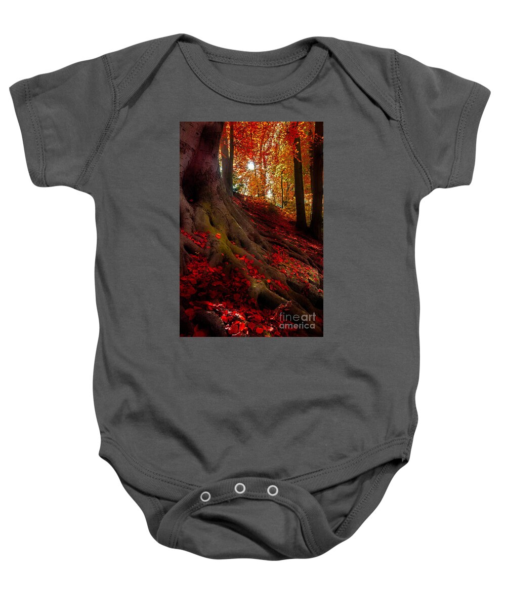 Autumn Baby Onesie featuring the photograph Autumn Light by Hannes Cmarits