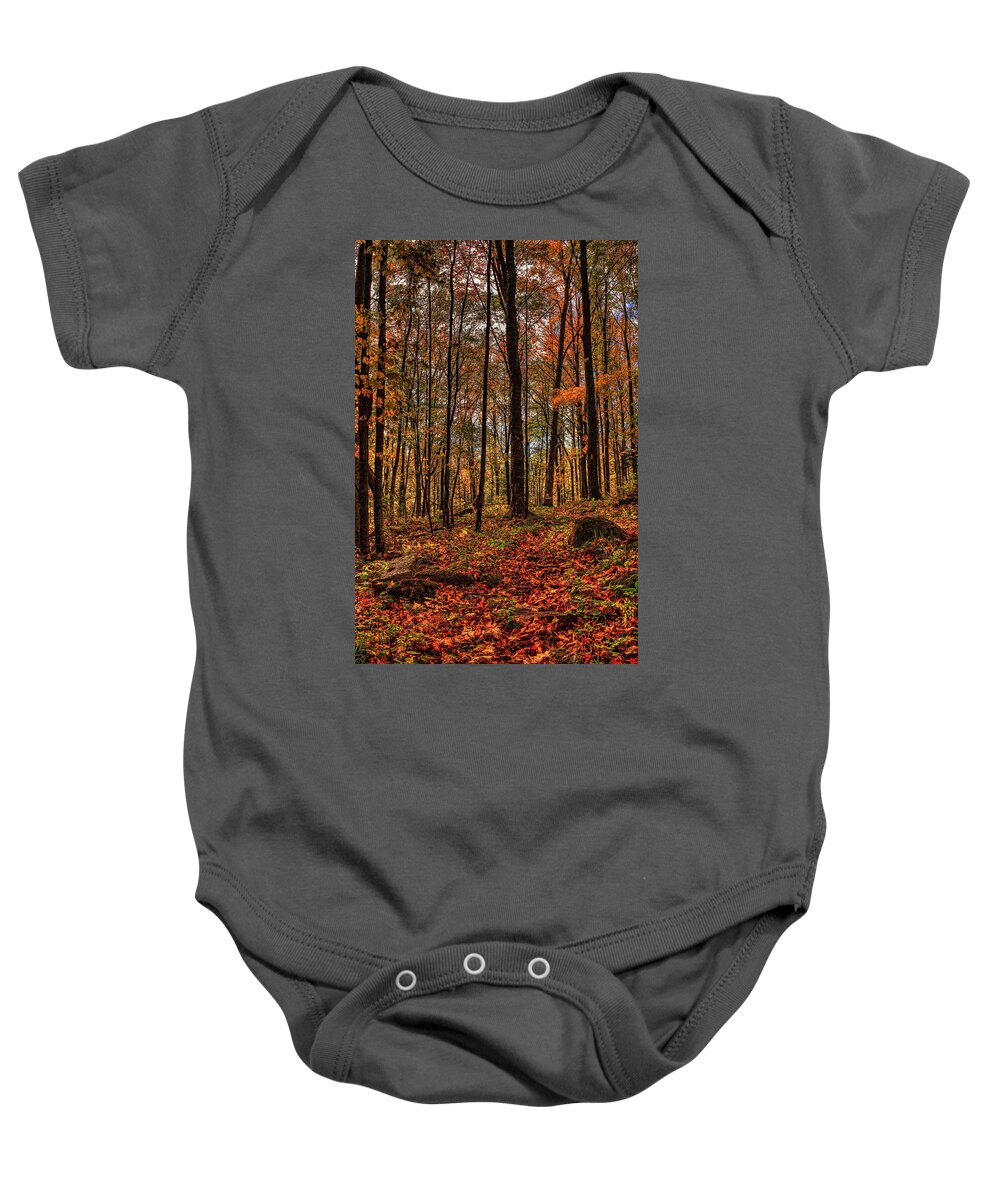 Autumn Baby Onesie featuring the photograph Autumn on the Ice Age Trail by Dale Kauzlaric