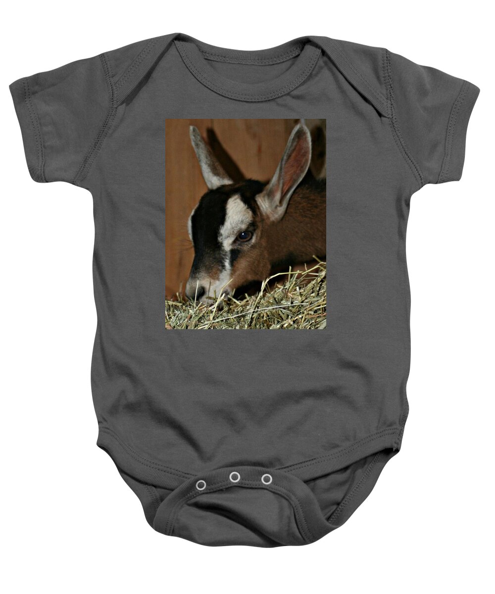 Animal Baby Onesie featuring the photograph Baby Girl by Barbara S Nickerson