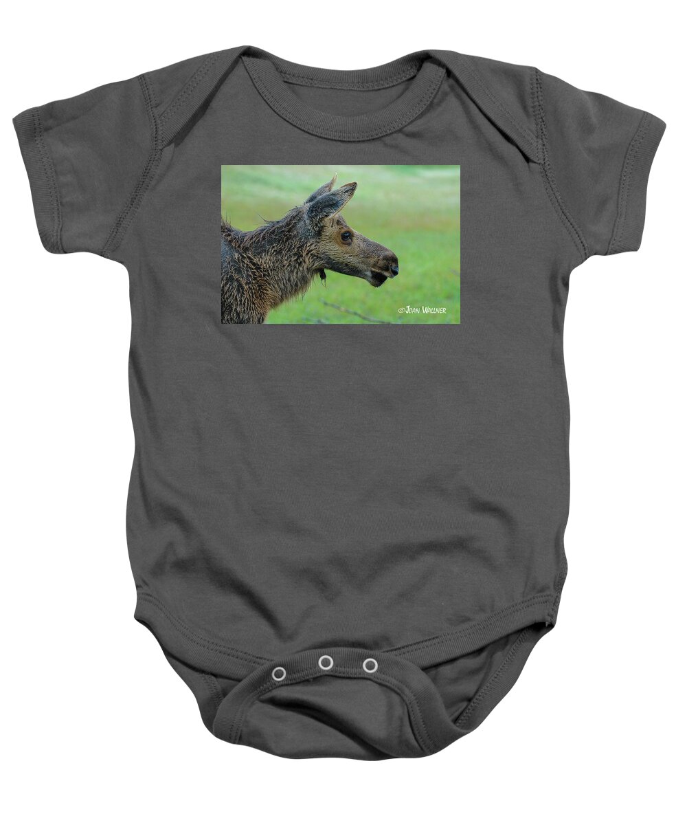 Alaska Baby Onesie featuring the photograph Baby Moose with Dew by Joan Wallner