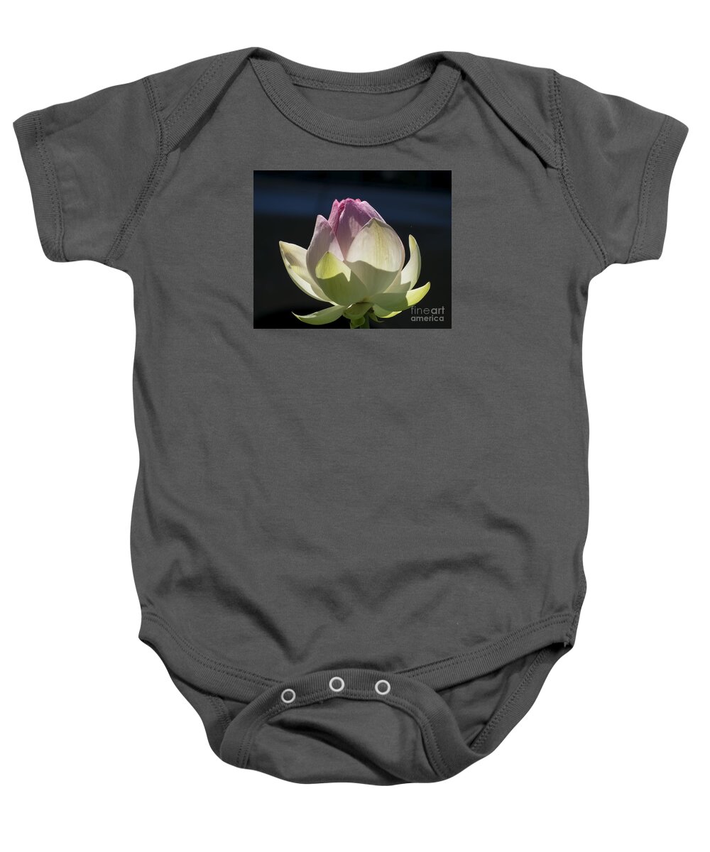 Flowers Baby Onesie featuring the photograph Backlit Lotus Bud 2015 by Lili Feinstein