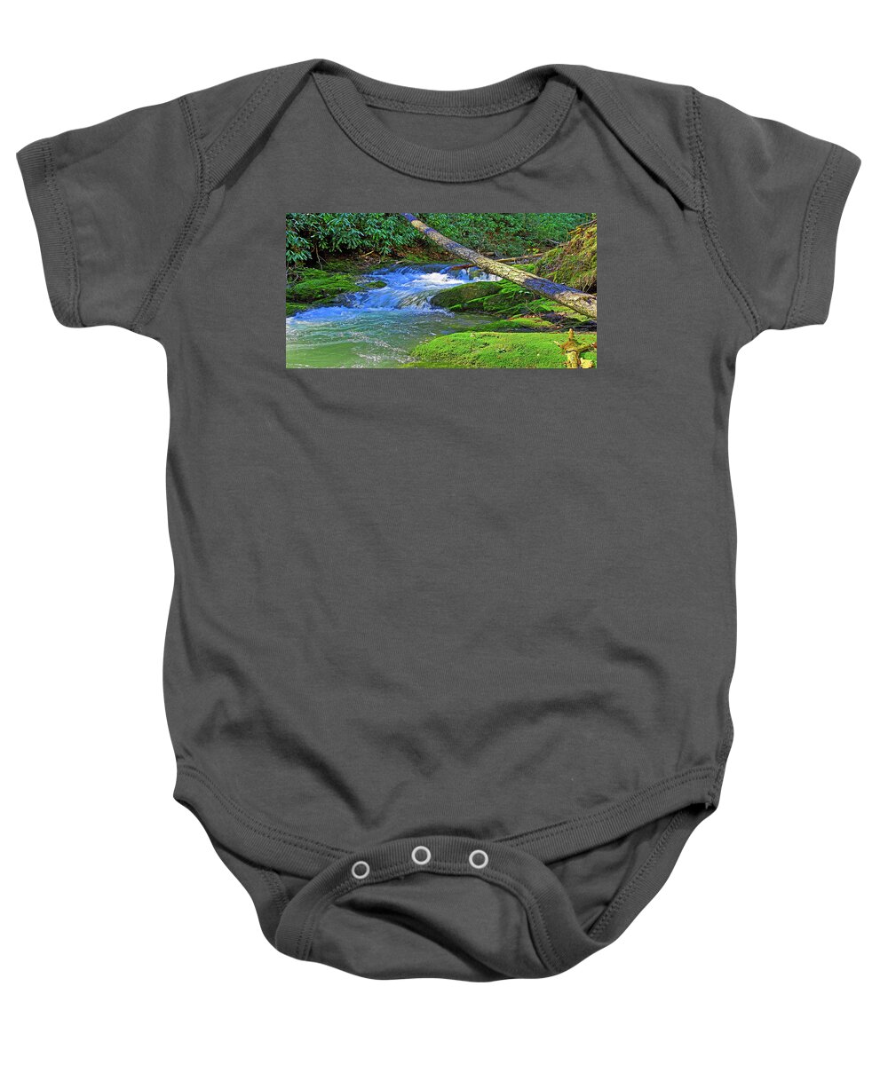 Backwoods Stream Baby Onesie featuring the photograph Backwoods Stream by The James Roney Collection