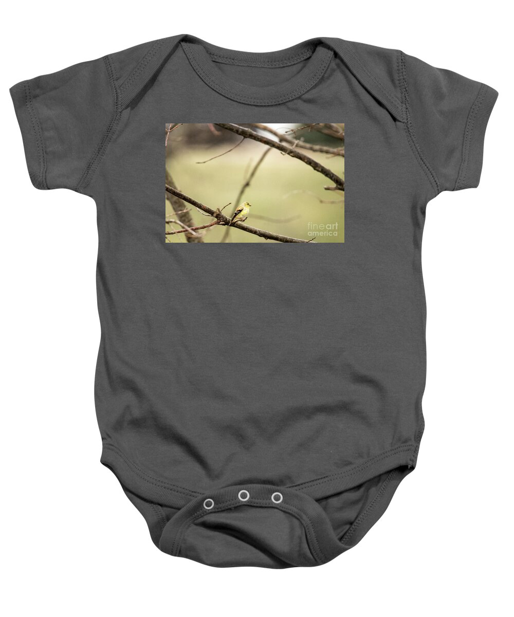 White-eyed Vireo Baby Onesie featuring the photograph Backyard Yellow by Ed Taylor