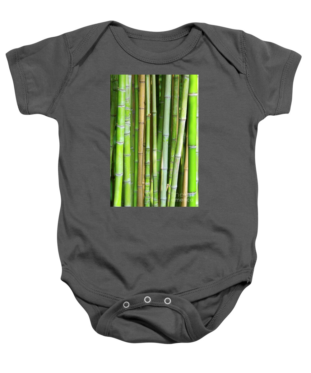 Asian Baby Onesie featuring the photograph Bamboo Background by Carlos Caetano