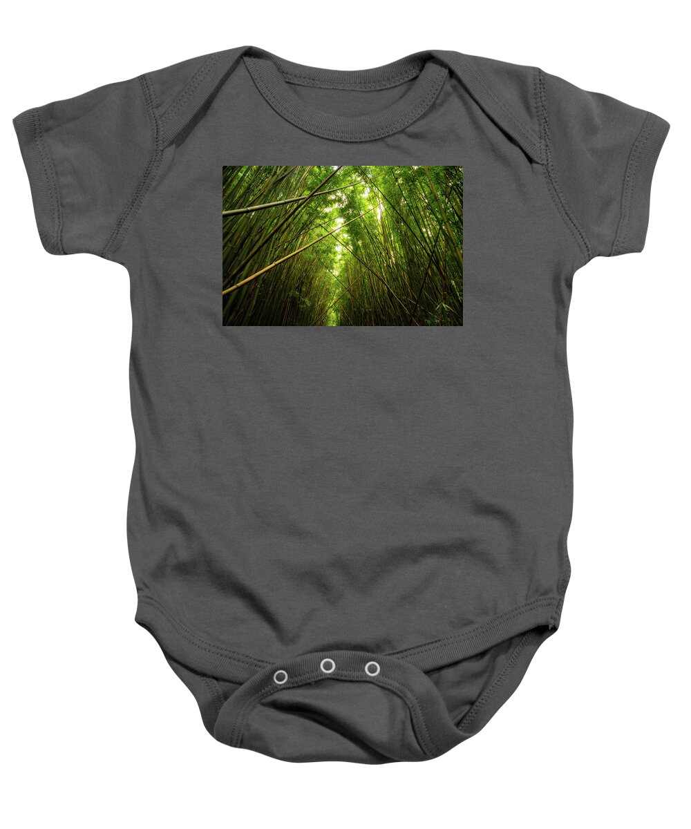Bamboo Baby Onesie featuring the photograph Bamboo Forest by Christopher Johnson