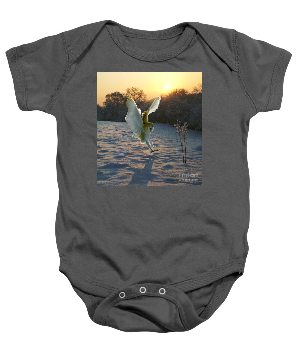 A Barn Owl Baby Onesie featuring the photograph Barn owl in snowy sunset by Warren Photographic