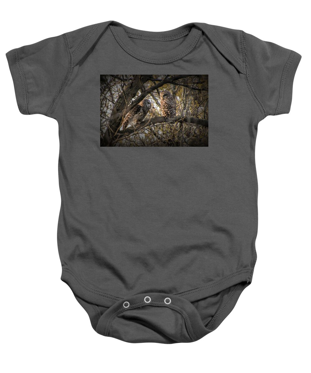 Bird Baby Onesie featuring the photograph Barred Owls perched on a Tree Branch by Randall Nyhof