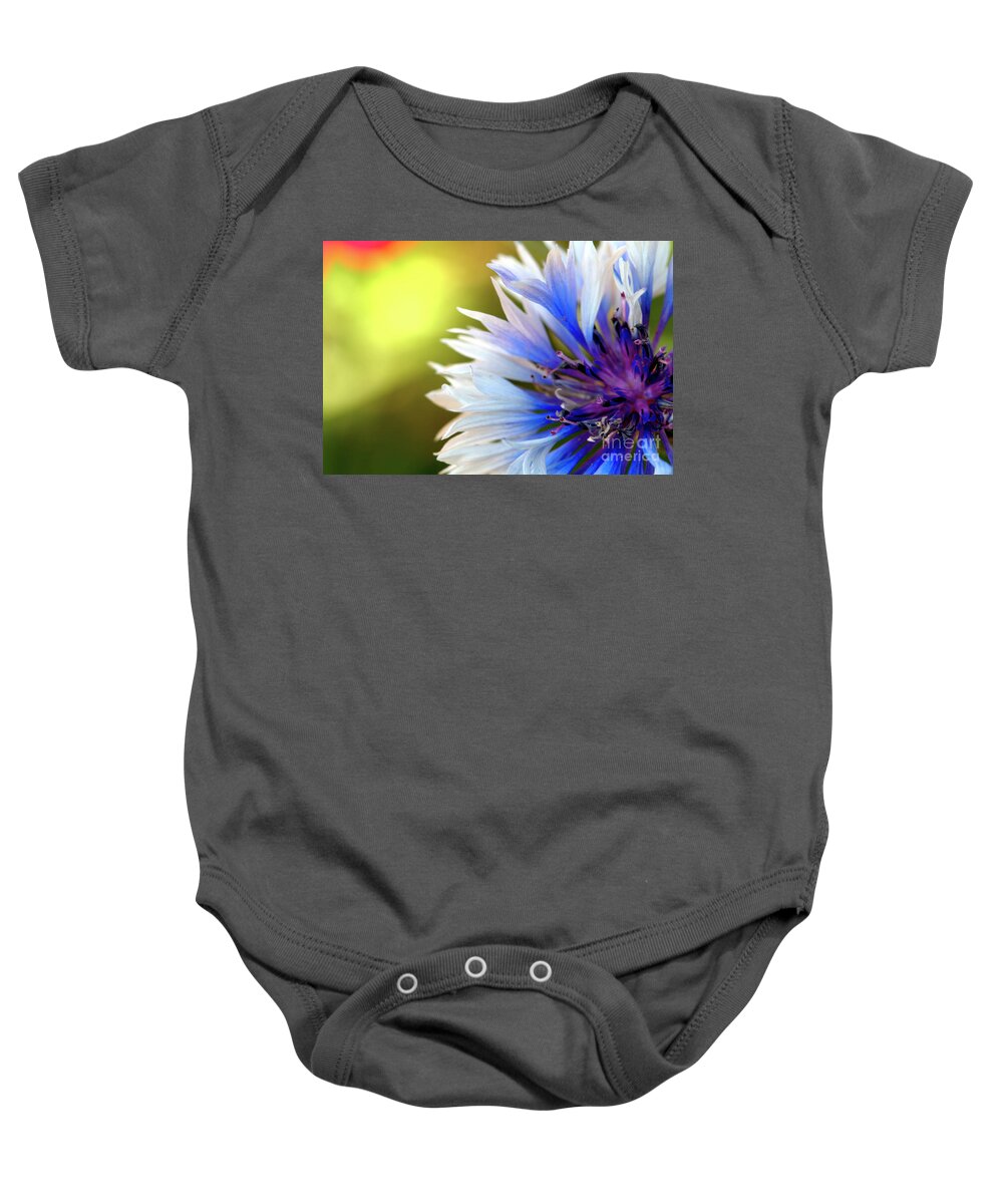 Macro.flower Baby Onesie featuring the photograph Batchelors Blue and white button by Baggieoldboy