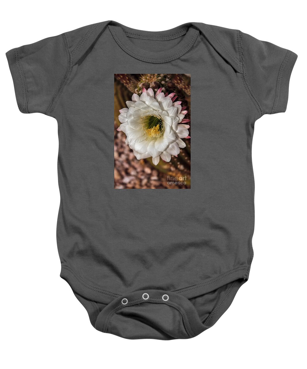 Argentine Giant Baby Onesie featuring the photograph Beautiful Giant by Robert Bales