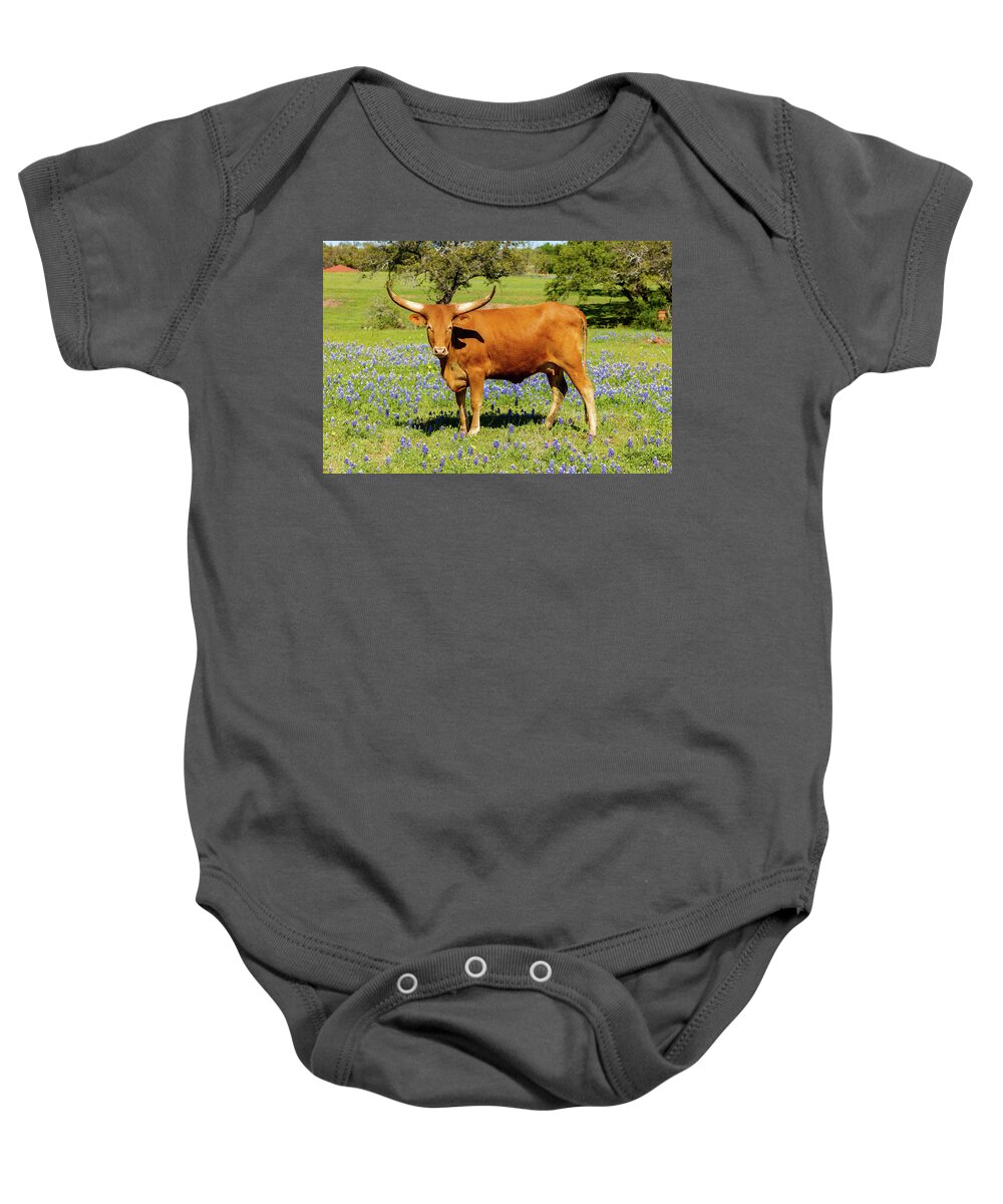 African Breed Baby Onesie featuring the photograph Beautiful longhorn cow by Raul Rodriguez