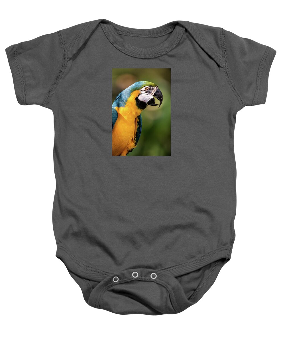 Bird Baby Onesie featuring the photograph Beautiful Macaw by Don Johnson