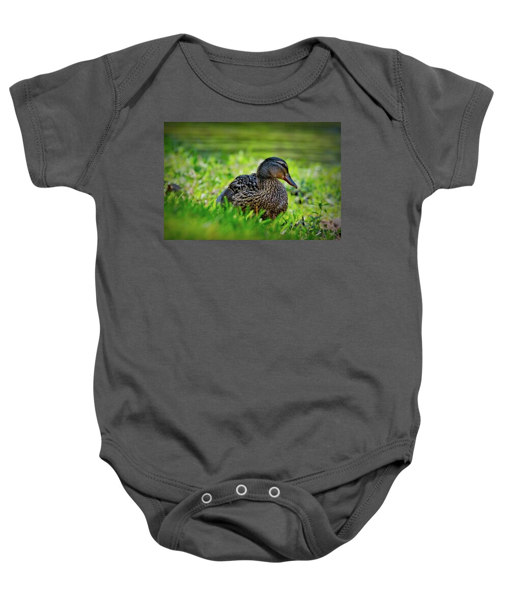 Mallard Baby Onesie featuring the photograph Beautiful Mama Duck by Linda Unger