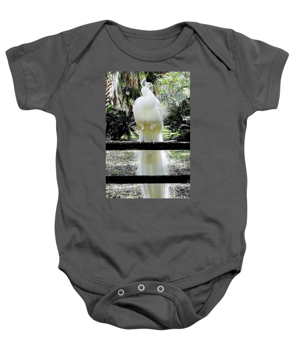 Peacock Baby Onesie featuring the photograph Beautiful - White - Peacock by D Hackett