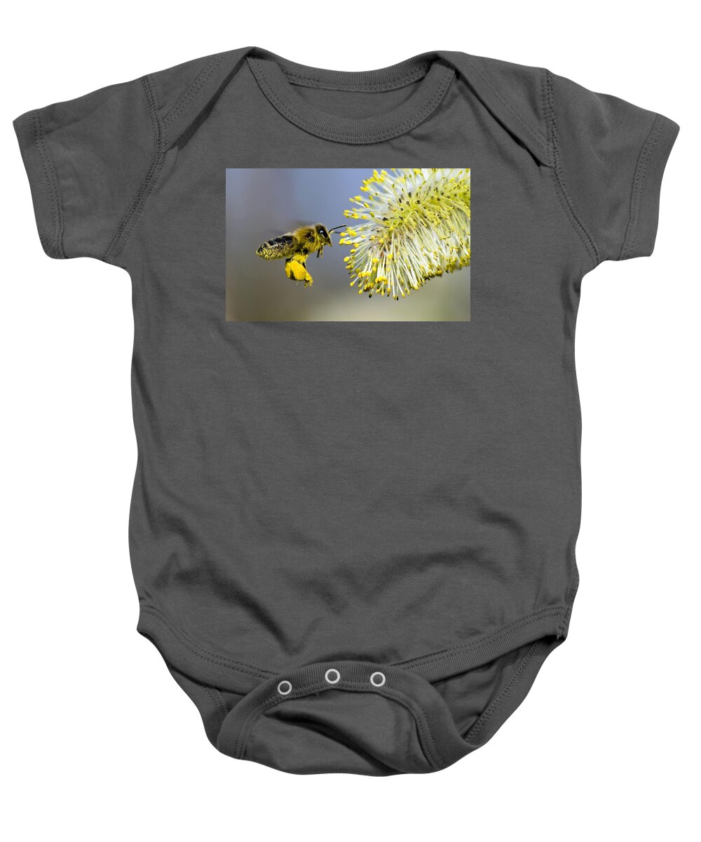 Bee Baby Onesie featuring the photograph Bee by Jackie Russo