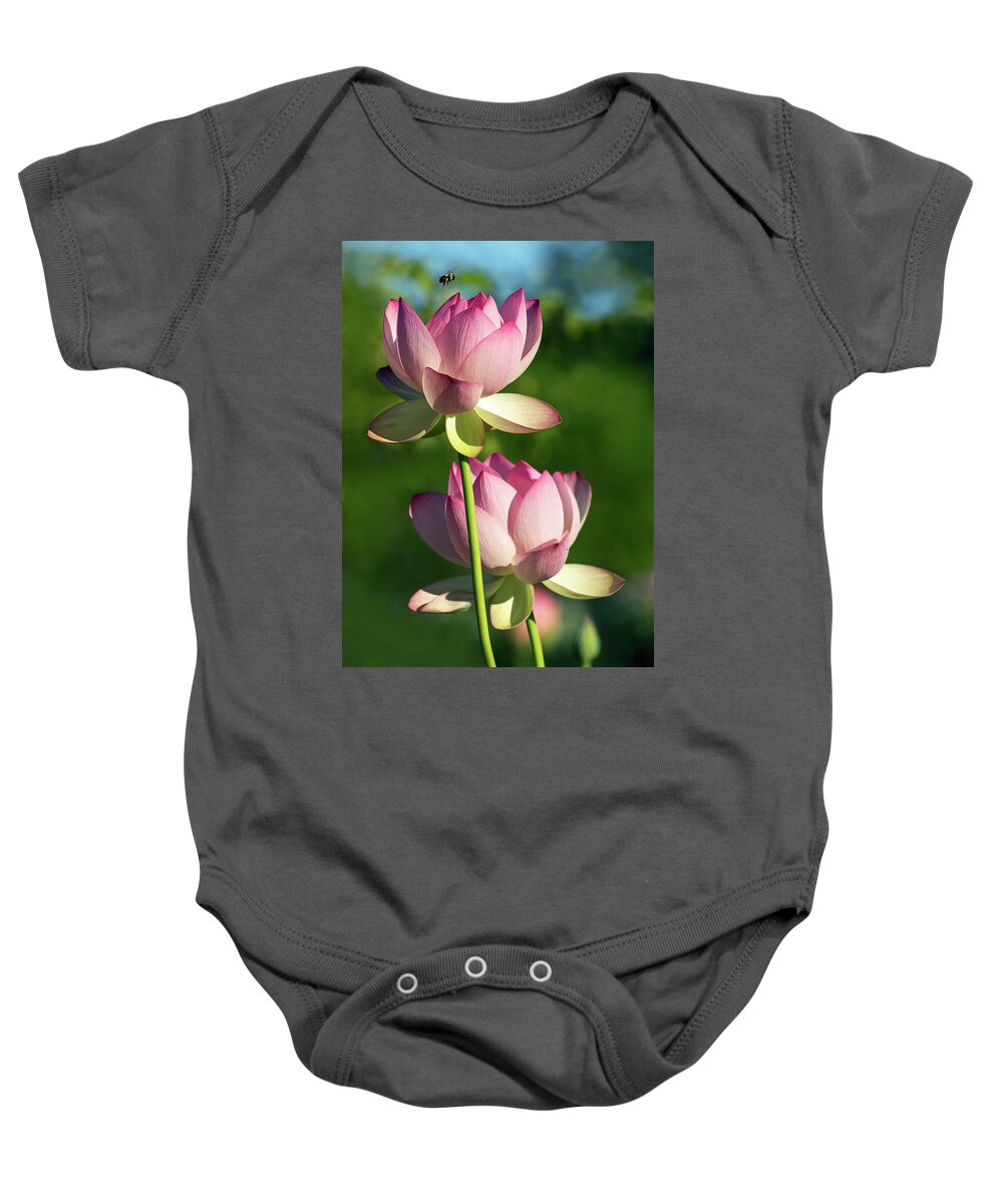 Lotus Baby Onesie featuring the photograph Bee Makes Three by Art Cole