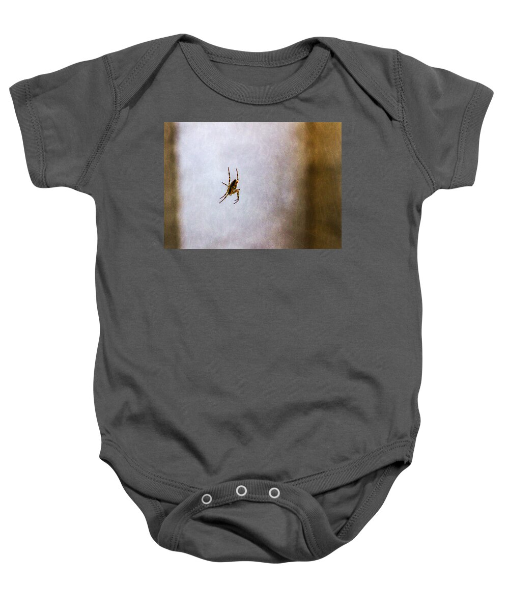 Bonnie Follett Baby Onesie featuring the photograph Belly of the spider by Bonnie Follett