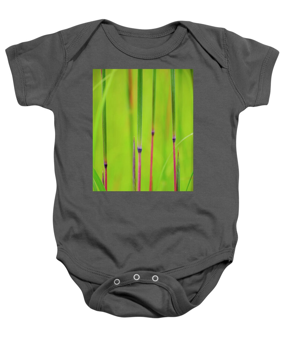 Andropogon Gerardii Baby Onesie featuring the photograph Big Blue by Todd Bannor