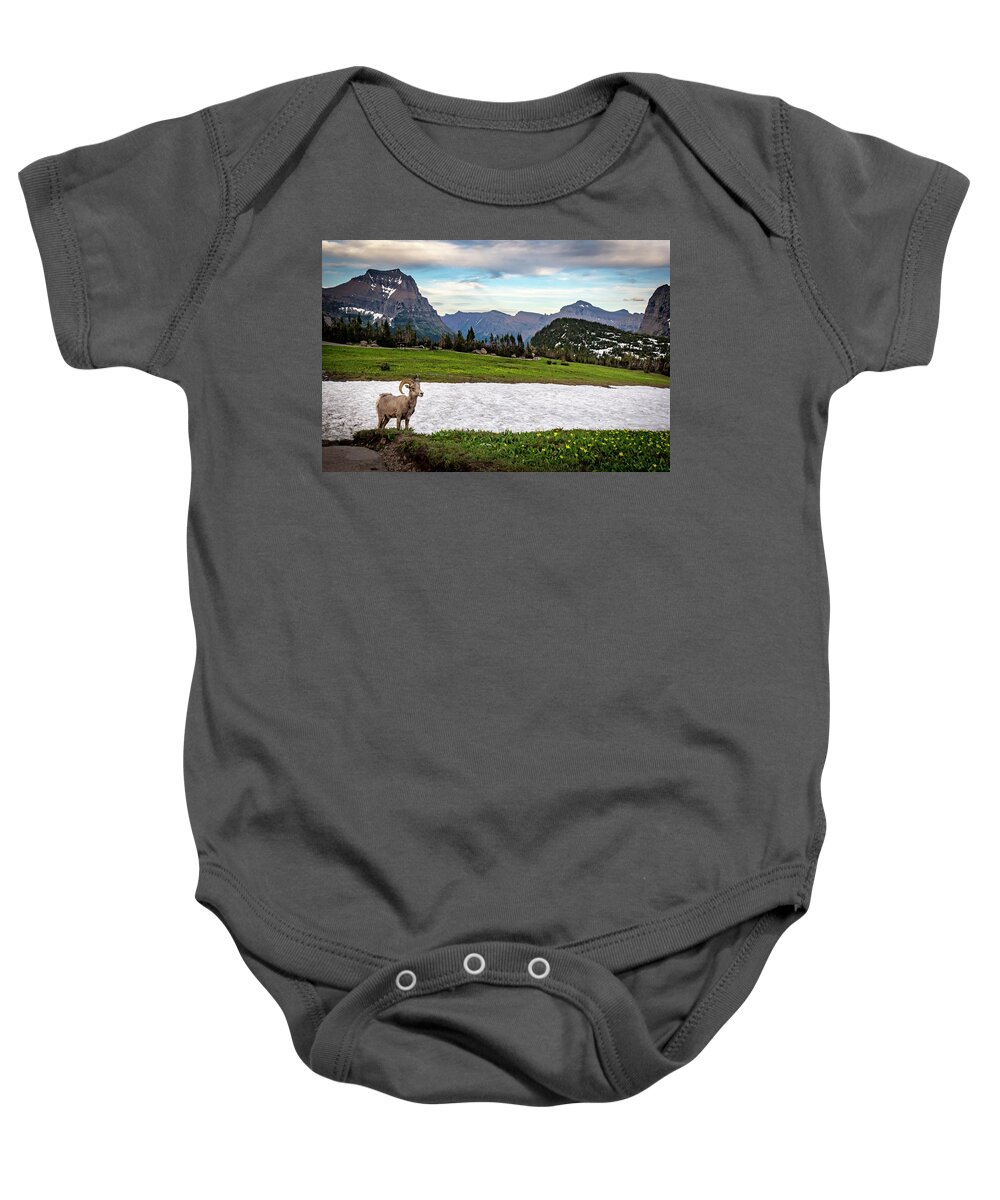 Bighorn Sheep Baby Onesie featuring the photograph Bighorn Sheep Ram by Donald Pash