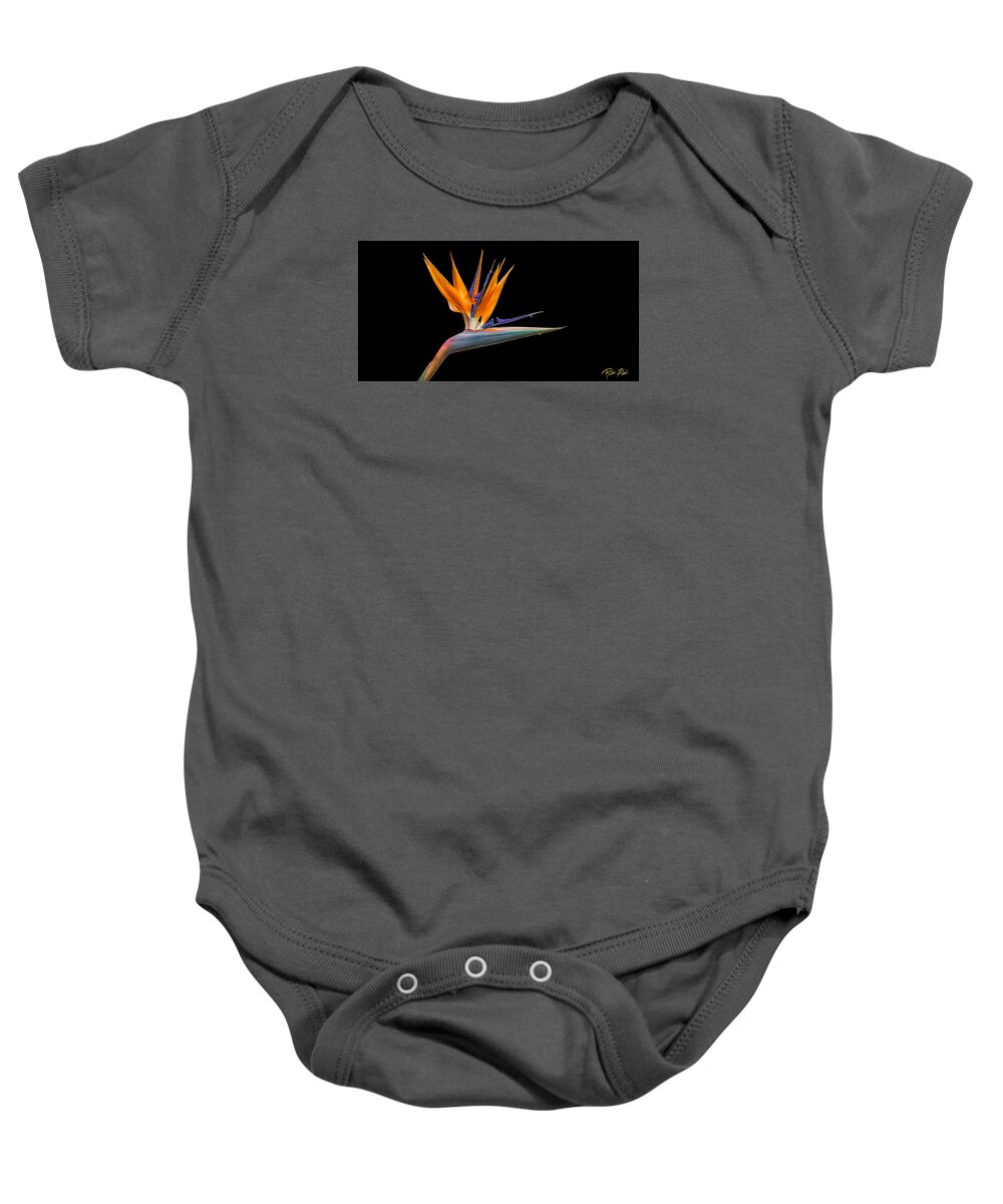 Plant Baby Onesie featuring the photograph Bird of Paradise Flower on Black by Rikk Flohr