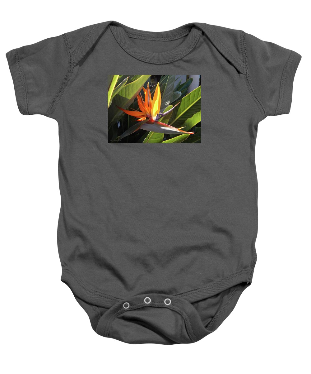 Floral Baby Onesie featuring the photograph Bird of Paradise by Lisa Cassinari
