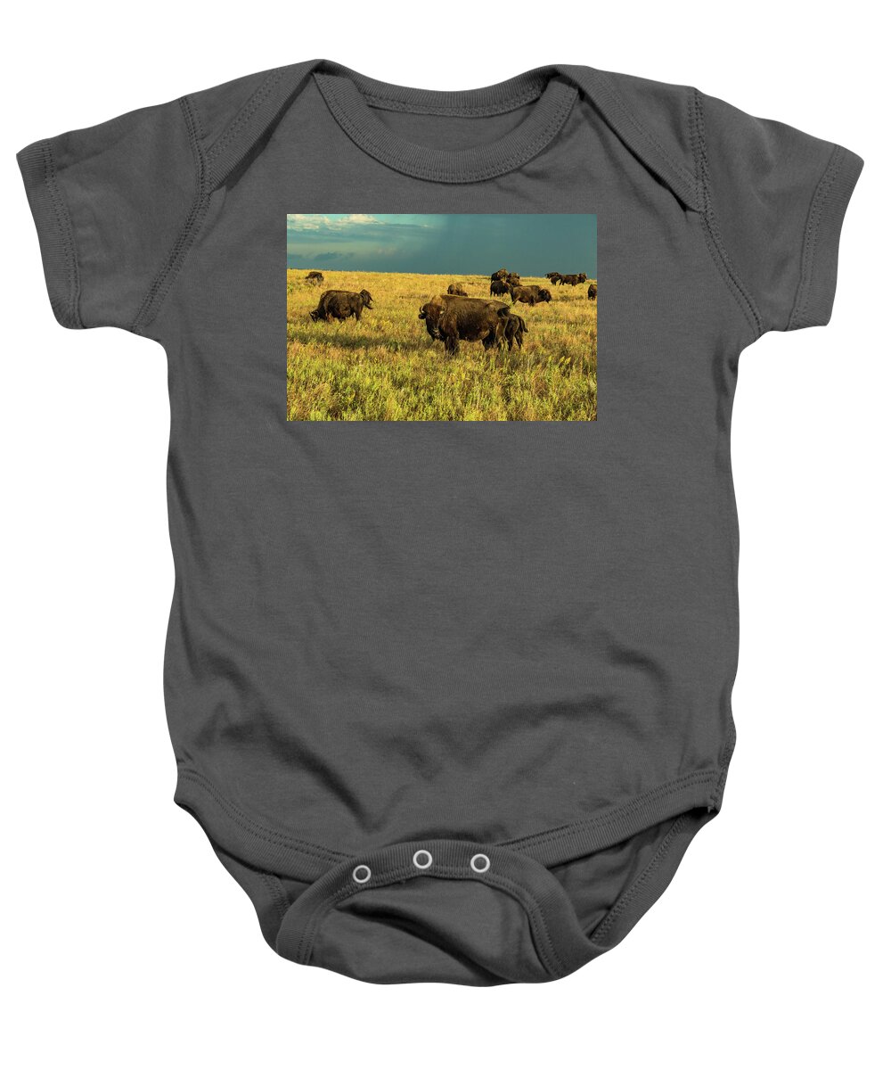 Jay Stockhaus Baby Onesie featuring the photograph Bison and Stormy Weather. by Jay Stockhaus