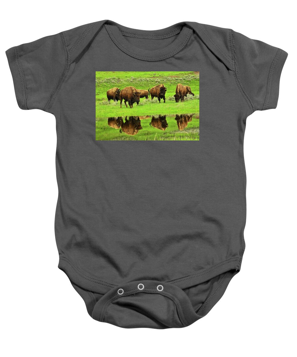 Bison Baby Onesie featuring the photograph Bison Spring Reflections by Greg Norrell