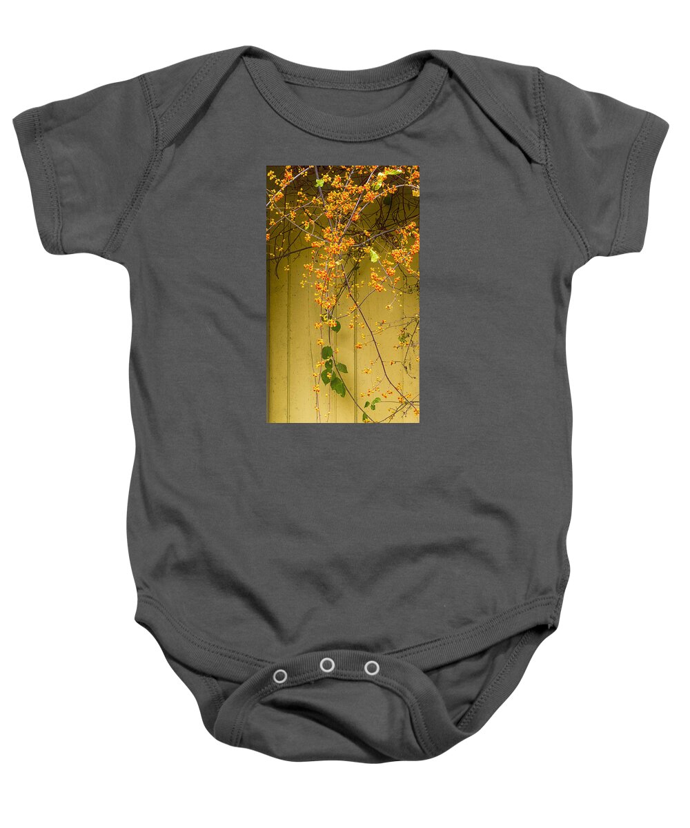 Cone Flowers Baby Onesie featuring the photograph Bittersweet Vine by Tom Singleton