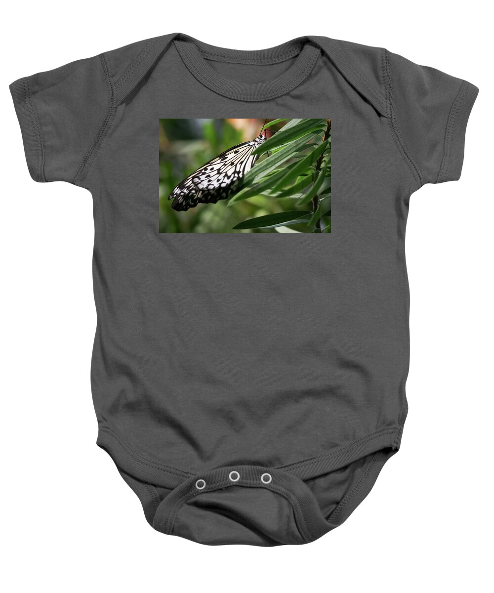 Idea Leuconoe Baby Onesie featuring the photograph Black and White Butterfly - by Julie Weber