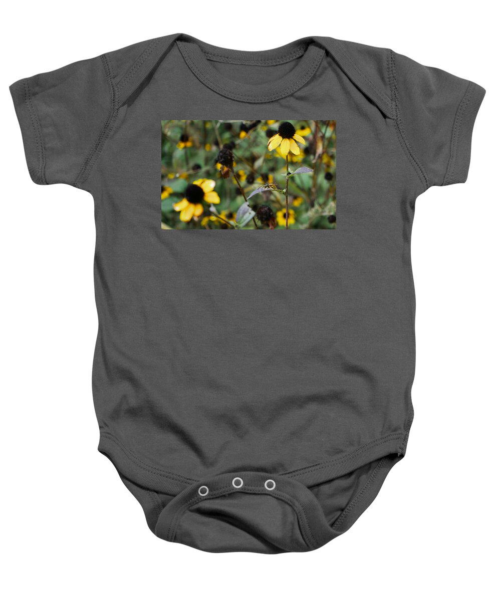 Bee Baby Onesie featuring the photograph Black and Yellow by Brooke Bowdren